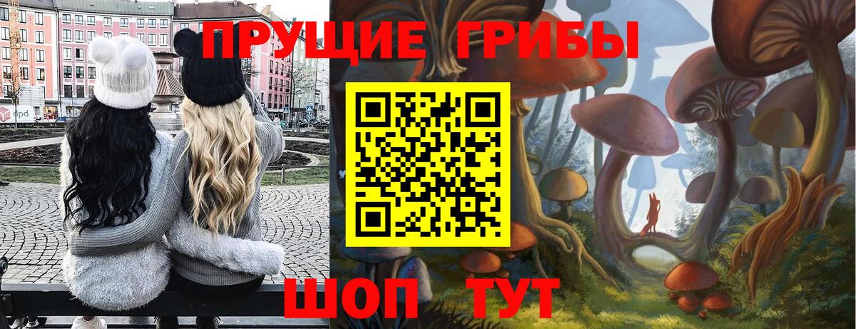 Псилоцибиновые грибы MAGIC MUSHROOMS  Галлюциногенные грибы MAGIC MUSHROOMS  Вход с VPN  Нижний Новгород 